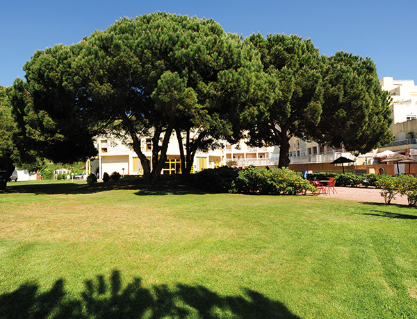 Shaded lawn with large pines in the grounds of our junior surf camp in Portugal
