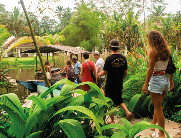 Group walking along a palm-lined path toward a covered boat on a canal
