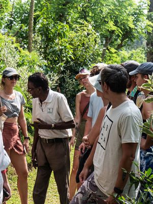 Tour group listening to a local guide in a green tropical garden
